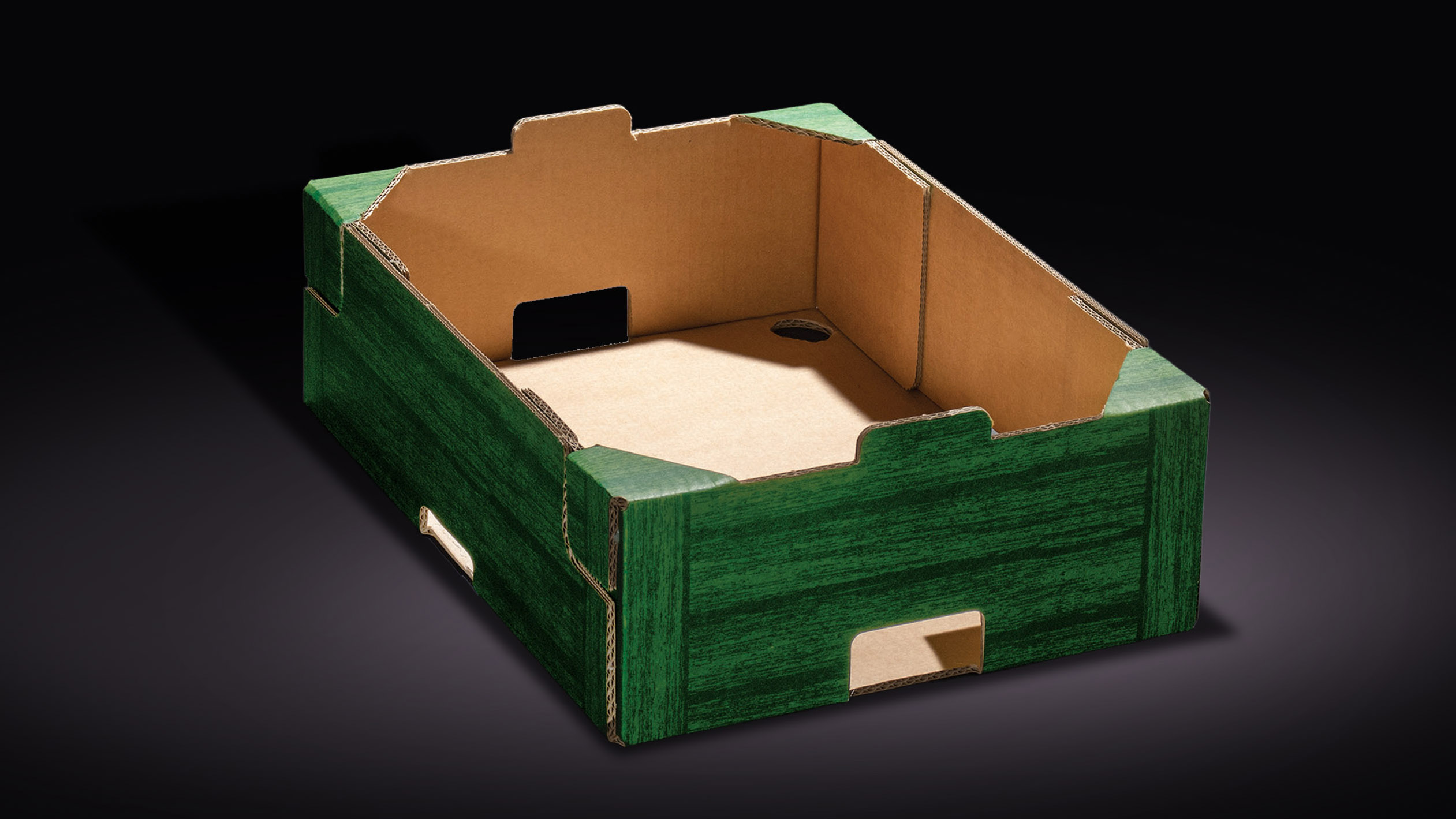 SIMPAK INDIVIDUALNO RJESENJE BLACK 1 C